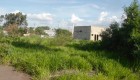 Número de casos de dengue aumentam 100% em Campo Grande