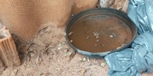 Casos de Chikungunya aumentam mais de 400% no Mato Grosso do Sul