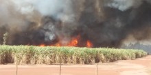 Mato Grosso do Sul registra mais de seis mil focos de incêndio em julho de 2019