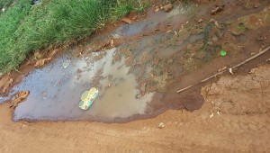 Campo Grande registra queda nos casos de Dengue