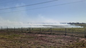 Campo Grande registra queda de 43,67% em incêndios durante primeiro trimestre de 2021
