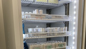 Fila de pacientes a espera de transplante de órgãos no estado ultrapassa 500 pessoas