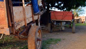 Lei regulamenta atividade na Capital