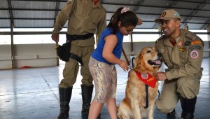 Terapia com Cães trata crianças com necessidades especiais