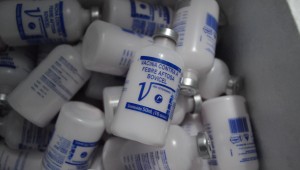 Campanha de aftosa pretente imunizar mais de 18 milhões de animais