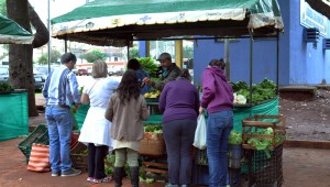 Consumo de alimentos orgânicos cresce em Campo Grande