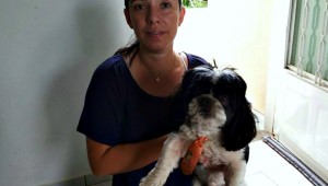 Justiça proíbe eutanásia obrigatória em casos de leishmaniose