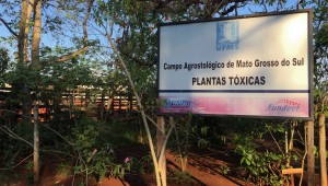 Jardim de plantas tóxicas é cultivado na UFMS