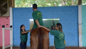Alto custo de equoterapia dificulta acesso ao tratamento
