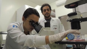 Pesquisa realizada na UFMS desenvolve métodos para prevenir a obesidade