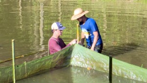 Pesquisadores da UFMS estudam métodos para desenvolver piscicultura na capital