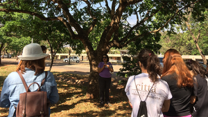 Projeto da UFMS promove o reconhecimento das árvores de Campo Grande