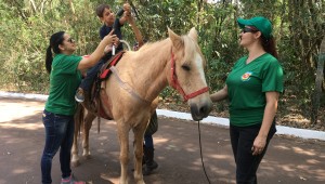 Centros de equoterapia tem lista de espera para atendimentos