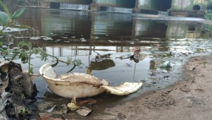 Projeto Córrego Limpo controla níveis de poluição dos córregos de Campo Grande