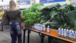 Campo Grande está entre as cinco capitais com maior número de obesos