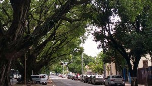 Campo Grande é a oitava cidade do país com maior número de edificações