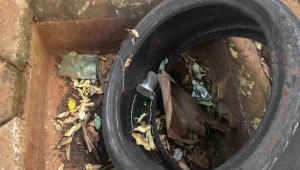 Campo Grande tem diminuição nos casos de dengue em relação ao mesmo período de 2017