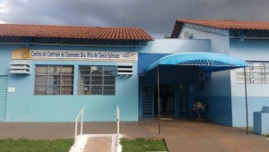 Reforma no CCZ amplia o número de castrações de gatos