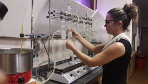 Pesquisa realizada na UFMS associa o consumo alto de proteínas a ganho de gordura corporal