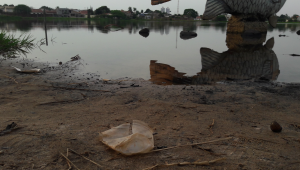 Prefeitura de Campo Grande cria programa para preservação da Lagoa Itatiaia