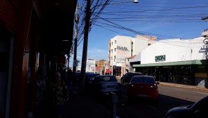 Região central de Campo Grande possui cerca de 550 conflitos de arborização urbana