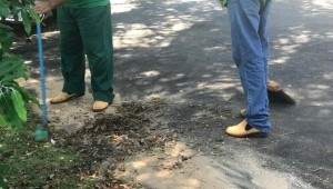 Detentos do regime semiaberto da Capital participam de projetos para redução de pena