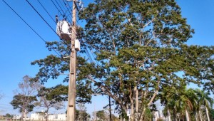 Número de acidentes com energia elétrica aumenta 44,4% em Mato Grosso do Sul