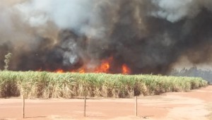 Mato Grosso do Sul registra mais de seis mil focos de incêndio em julho de 2019