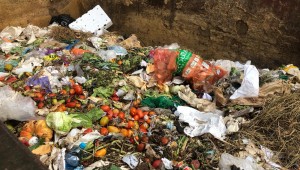 Instituições sociais de Campo Grande receberão alimentos excedentes para diminuir desperdício