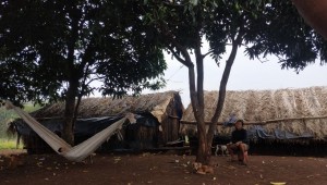 Mato Grosso do Sul é o segundo estado com maior número de assassinatos indígenas no país