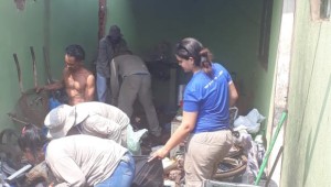 Campo Grande registra 38,8 mil casos de dengue em 10 meses