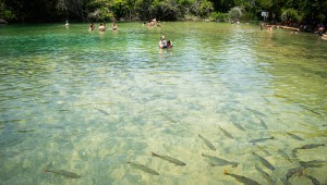 Degradação dos rios de Bonito afeta ecoturismo da região
