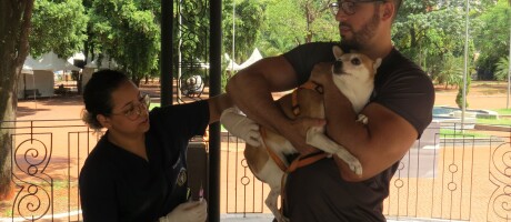 Dia D de vacinação antirrábica para cães e gatos é realizada em Campo Grande durante feriado