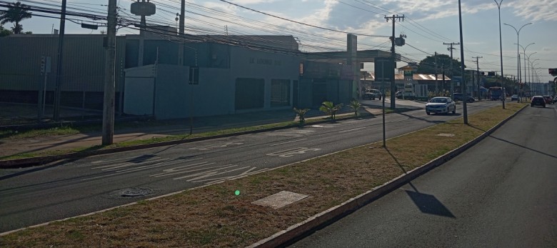 Bairros são considerados arborizados quando apresentam no mínimo uma árvore plantada por quadra urbana