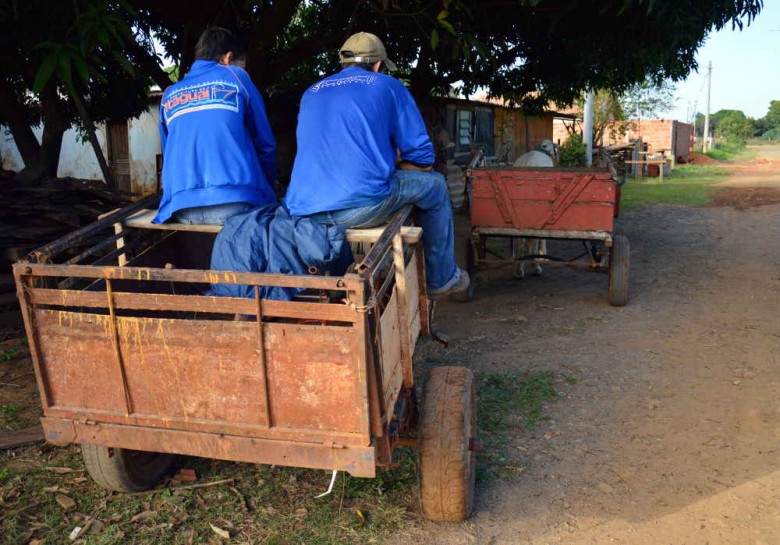 Carroceiros de Campo Grande estavam proibidos de exercer a profissão desde 2009