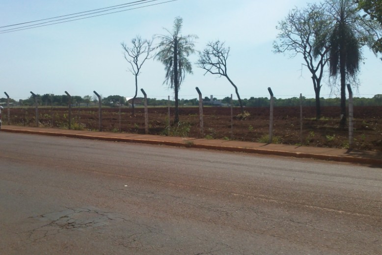 Local do desmate no bairro Santo Amaro