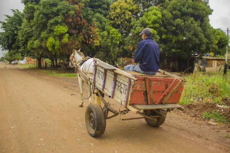 Carroças sem registro após um ano da lei que regulamenta a atividade