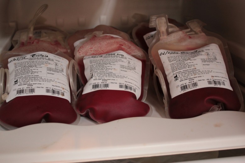 Bolsas de sangue canina são refrigeradas até 35 dias