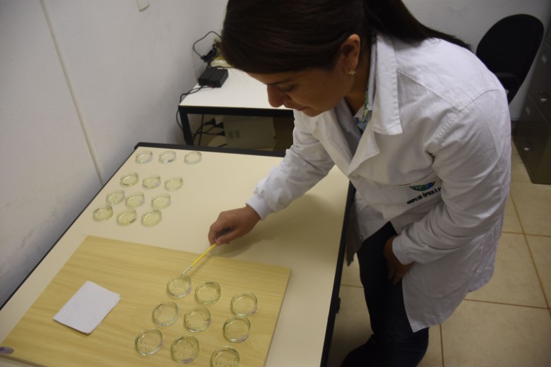 A equipe do projeto avalia a concentração ideal do produto para a aplicação