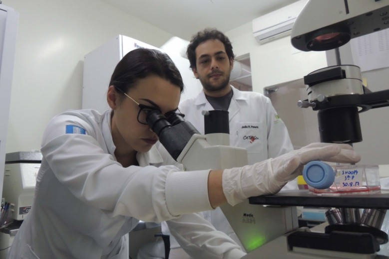 Os pesquisadores João Pesarini e Laynna Schweich.