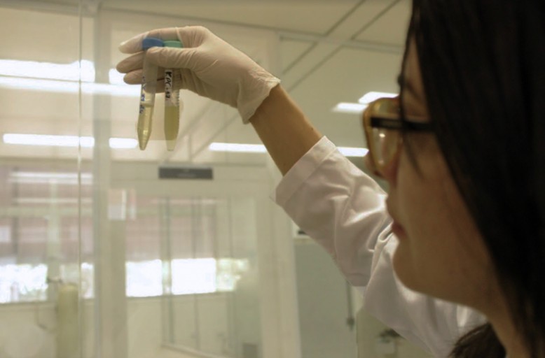 Os testes feitos em laboratório simulam modelos de infecções bacterianas
