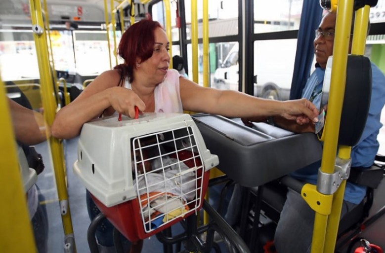 Simone Gatto transporta a cadela Cindy no ônibus coletivo