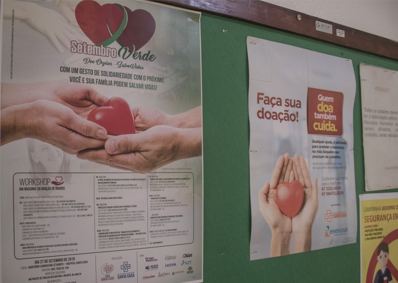 Córnea lidera número de transplantes com 7.865 cirurgias