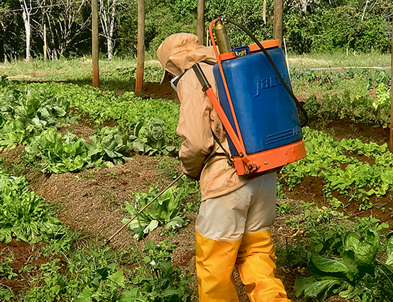 Mato Grosso do Sul é o sétimo maior consumidor de agrotóxicos no país