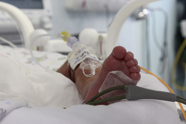 Incubadora Neonatal do HUMAP proporciona ambiente termoneutro