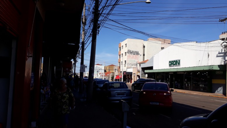 Projeto de intervenção irá realizar plantios de árvore no centro da cidade