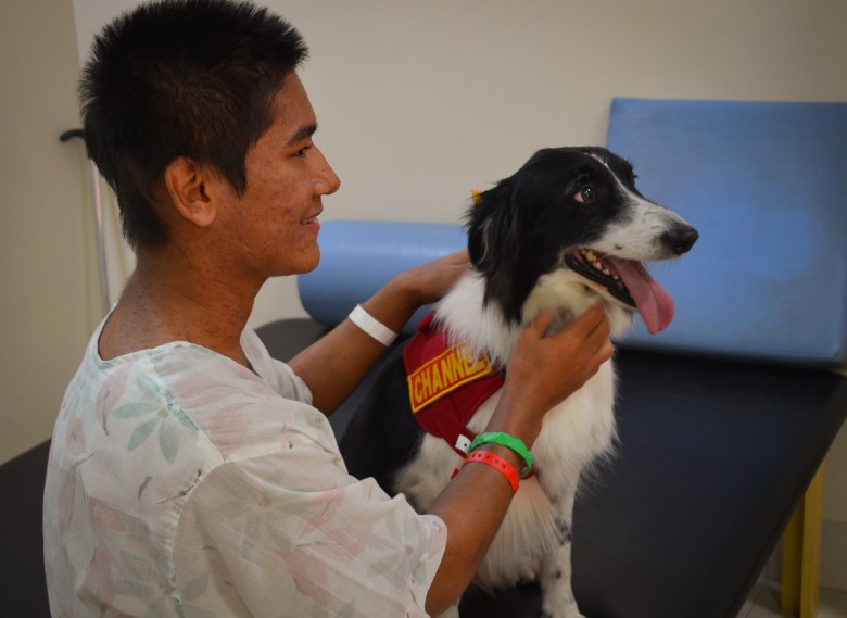 Sessão de Terapia Assistida por animais no Hospital São Julião
