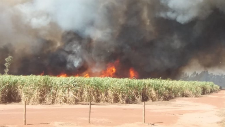 Queimada em uma plantação de cana, Nova Andradina MS
