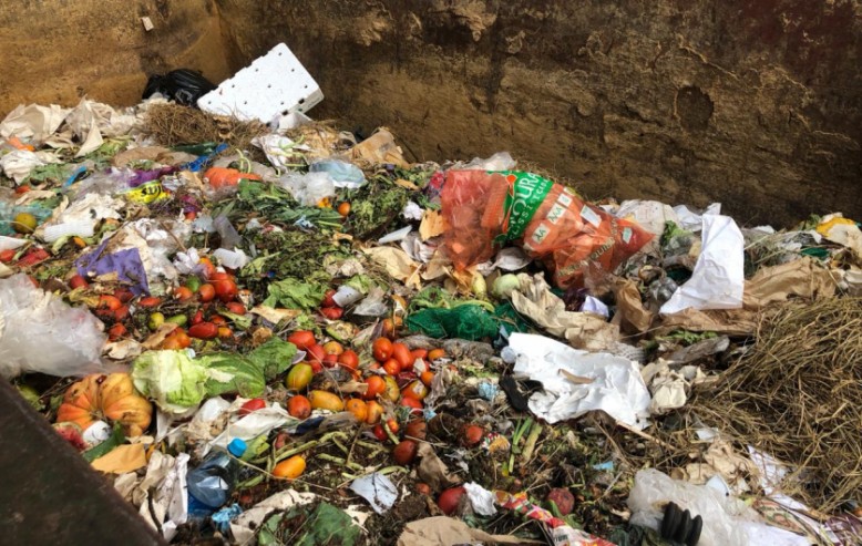 Cultura da fartura estimula desperdício de alimentos no Brasil